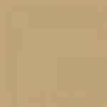 Paint and Paper Library Leather III Paint